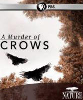 A Murder of Crows /  